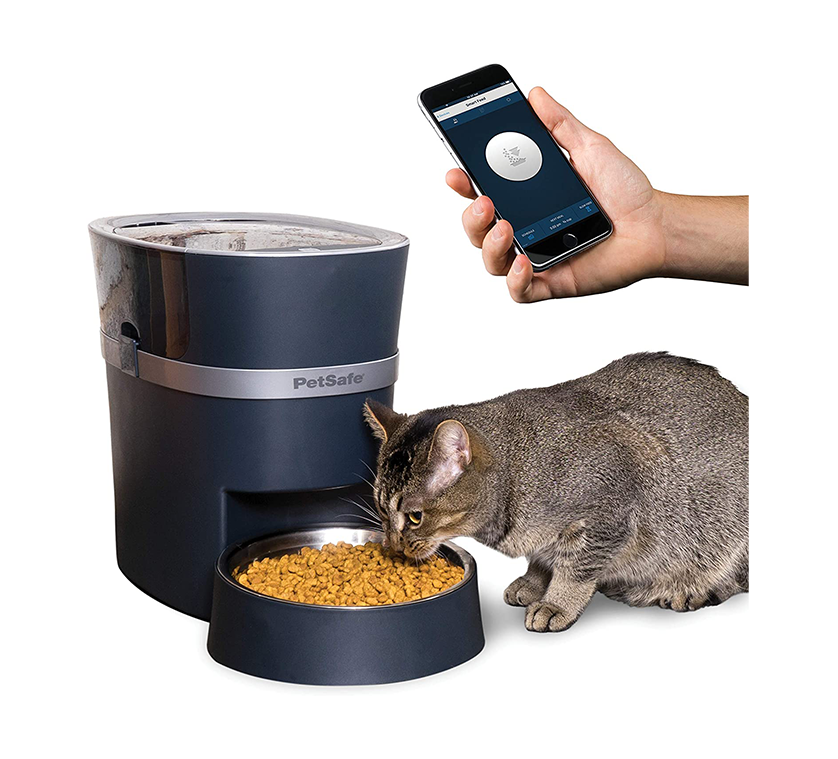 Best Automatic Cat Feeders 2021