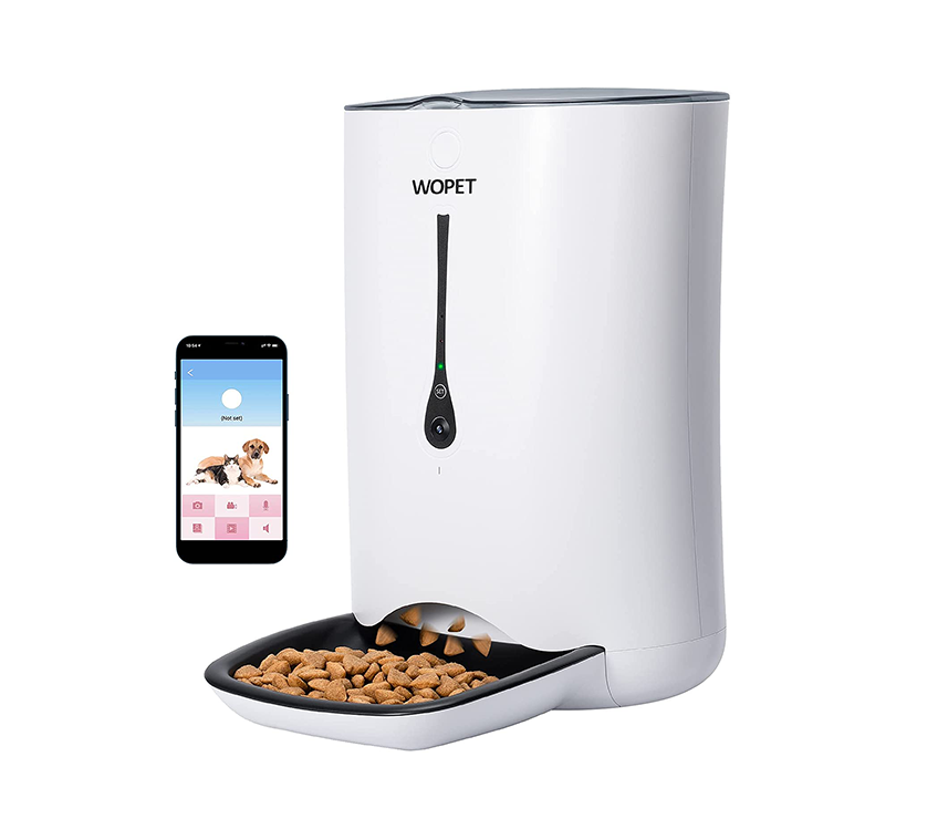 Best Automatic Cat Feeders 2021