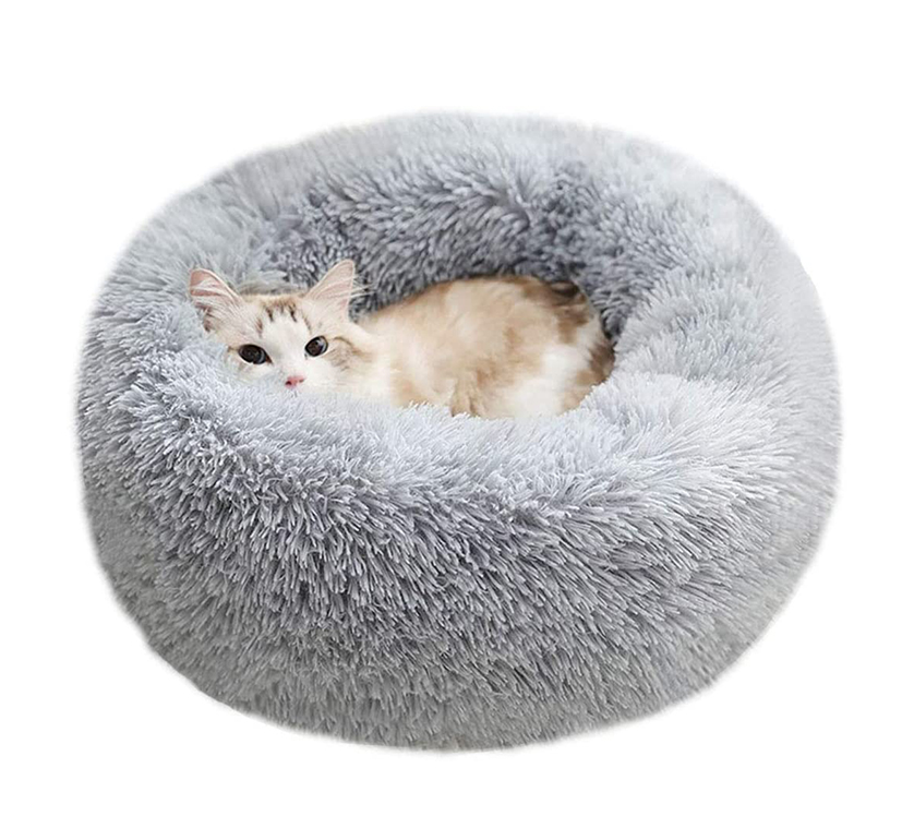 13 Best Cozy Cat Beds For All Seasons 2022