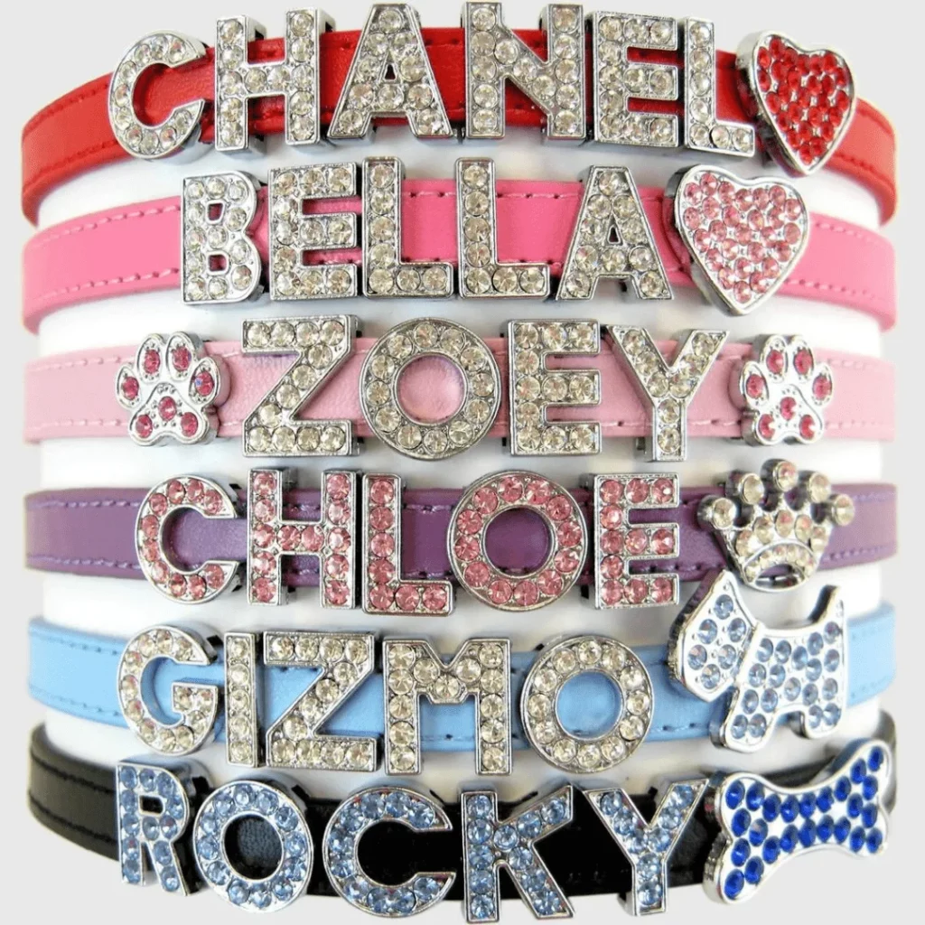 Custom Name Cat Collars for Diva cats (5)