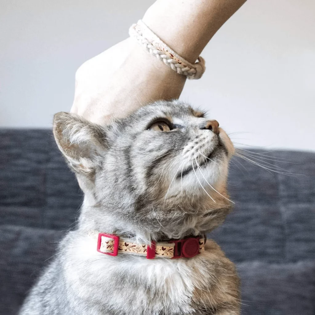 Christmas Cat Collars for cuddly cats with matching bracelet for cat mom