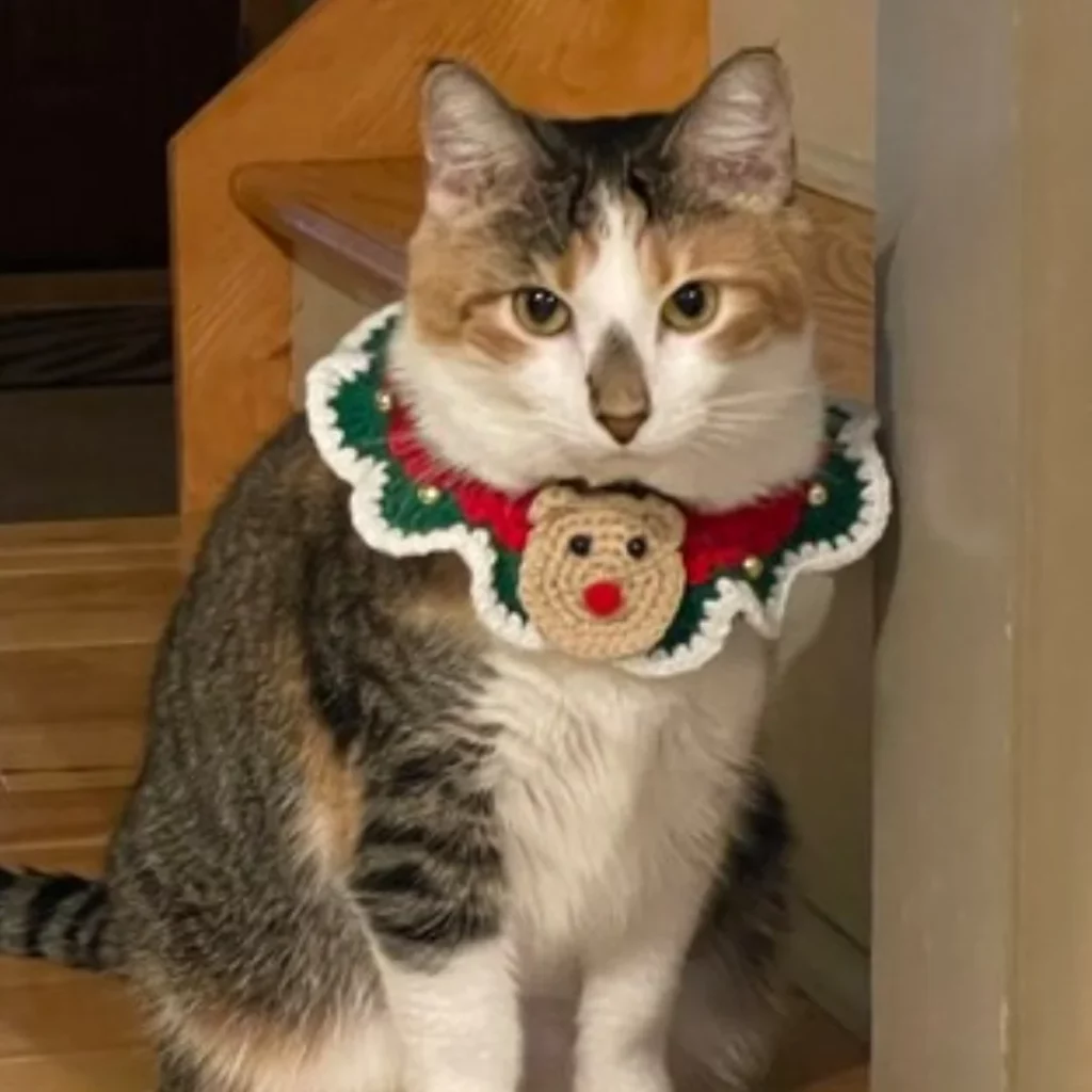 Cute Reindeer Crochet Christmas Cat Collar