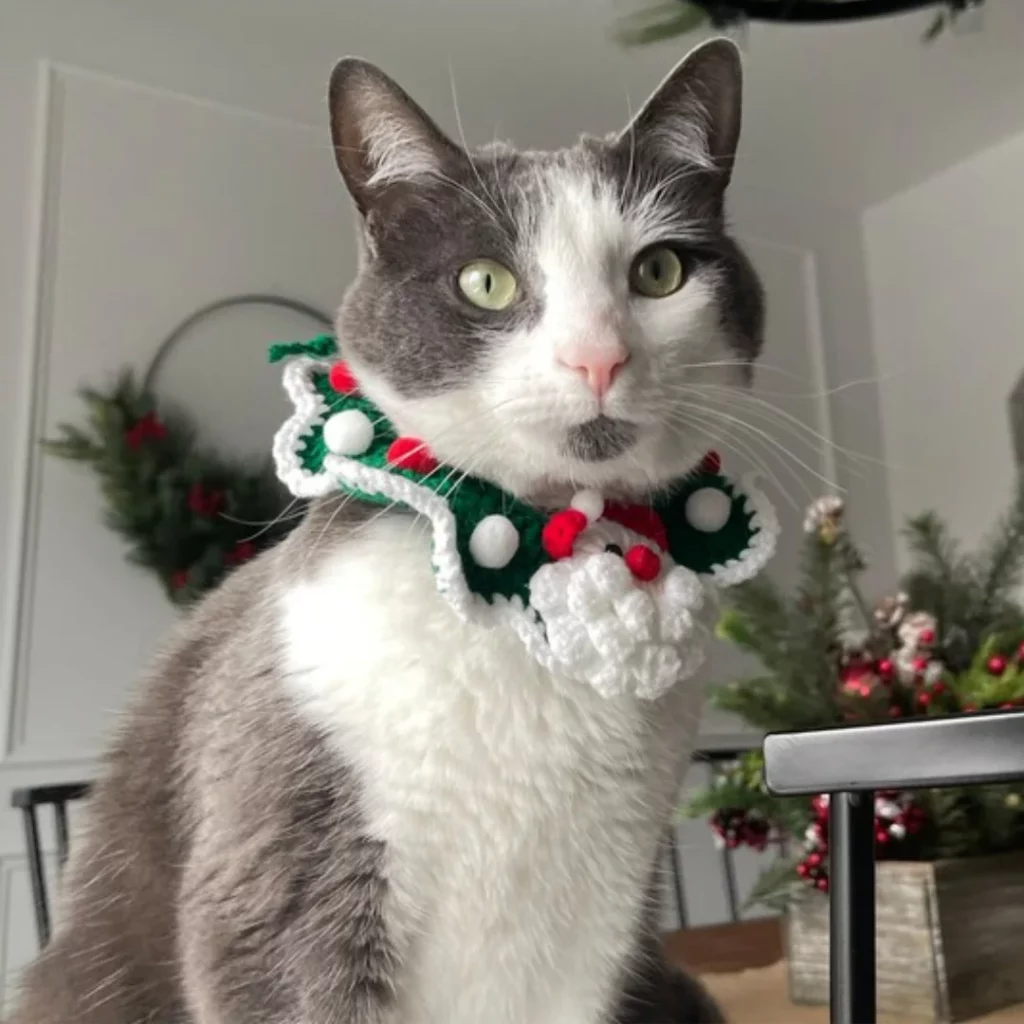 Cute Santa Crochet Christmas Cat Collar