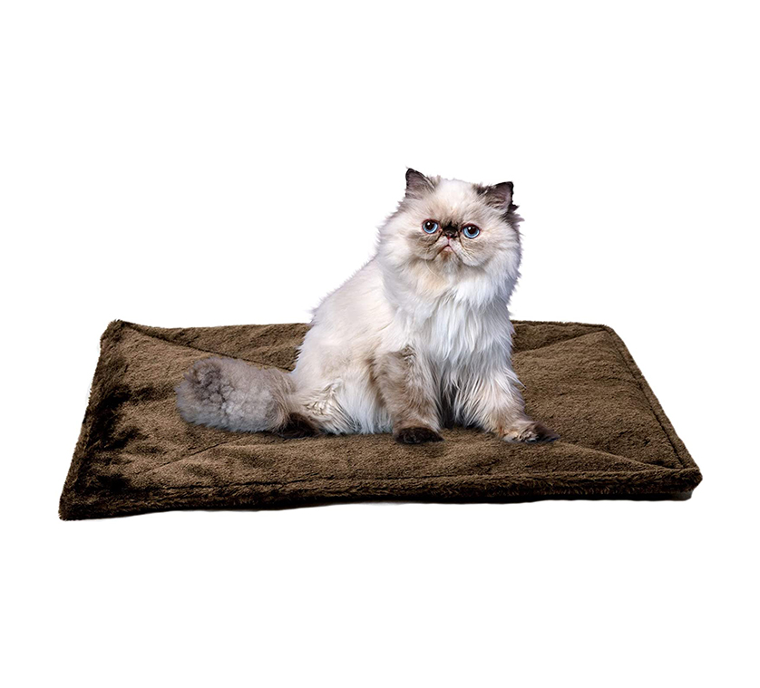 13 Best Cozy Cat Beds For All Seasons 2022