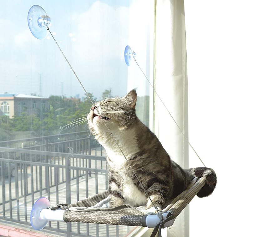 13 Best Cozy Cat Beds For All Seasons 2022